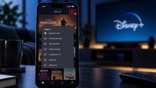 Disney+ nu mai poate folosi Google Cast în Germania și Olanda din pricina unui un brevet