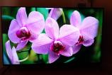 Allview-QL50ePlay6100-U_030.jpg