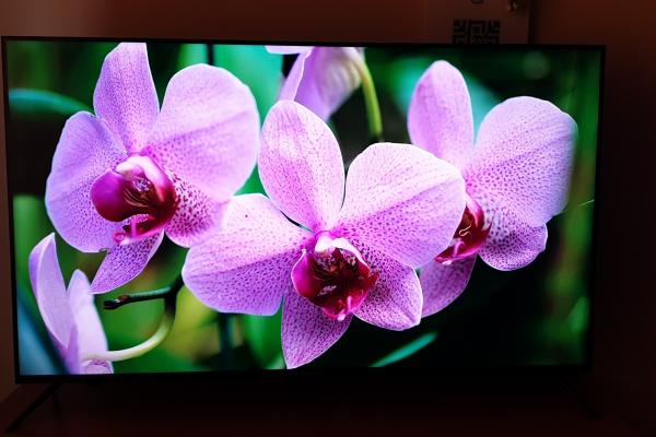 Allview QL50ePlay6100-U - Fotografii prezentare