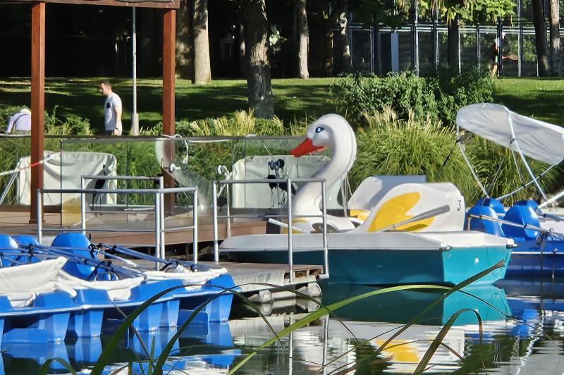 Samsung Galaxy Z Fold5 - Mostre zoom: 20230803_084441.jpg