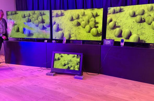 Sony Bravia - LED-uri la vedere: led-URI (12).jpg