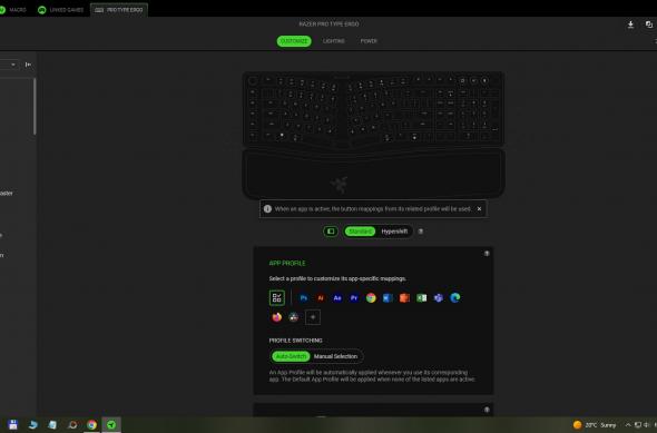 RAZER PRO Type ERGO - Aplicație: razer (7).jpg