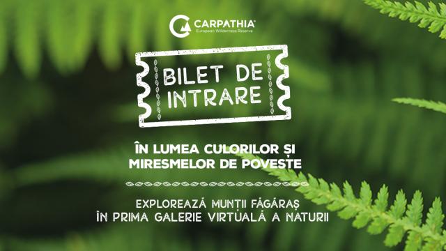 <b>Fundația Conservation Carpathia lansează prima expoziție virtuală din România dedicată Munților Făgăraș; Iată cum o poți accesa!</b>Fundația Conservation Carpathia contribuie la conservarea și refacerea ecosistemelor naturale din Munții Carpați. Astfel, în beneficiul biodiversității și a comunităților locale, se achiziționează, protejează și administrează păduri și pajiști alpine