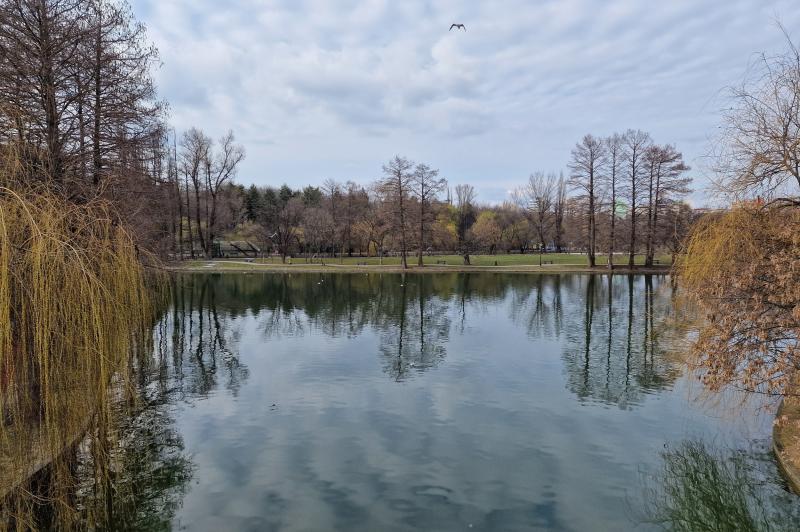 Samsung Galaxy S22 Ultra - Mostre Foto (ziua): 20220308_153635.jpg