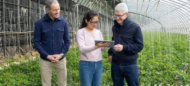Jeff Williams pleacă de la Apple; Sabih Khan devine noul COO, iar John Ternus e favorit pentru succesiunea lui Tim Cook