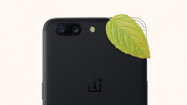 <b>OnePlus 5 ar putea primi o nouă nuanţă de culoare, Mint Gold de această dată</b>Flagship-ul cu 8 GB RAM, adică OnePlus 5 se pregătește pentru primirea unor haine noi - fiind menționată astăzi nuanța Mint Gold într-un teaser oficial. Culoarea s-ar putea dovedi a fi foarte atrăgătoare, mai ales în acest an în care până și terminale