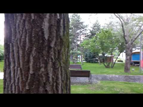 Allview V2 Viper i4G, mostră video Full HD 25 FPS II.  - Mobilissimo.ro