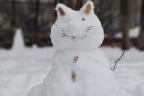 Realme-14-Pro-Plus-Mostre-bokeh_006.jpg