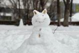 Realme-14-Pro-Plus-Mostre-bokeh_005.jpg