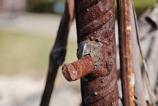 Xiaomi-15-Mostre-Macro_008.jpg