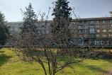 IMG_20250212_132330_080.jpg