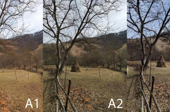 Vot în orb Samsung Galaxy S10+: peisaj2.jpg