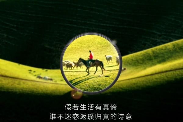 [UPDATE: Fotografiile au fost realizate de un DSLR] Huawei postează teasere cu zoom uimitor pentru Huawei P30/P30 Pro; Detaliile sunt incredibile