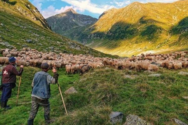 Un fotograf premiat dă sfaturi cu privire la fotografiile ideale cu smartphone-ul, preferă modelele Xperia