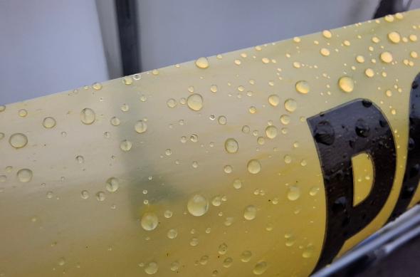 Samsung Galaxy A37 - Mostre closeup, macro: Macro-closeup_ (11).jpg