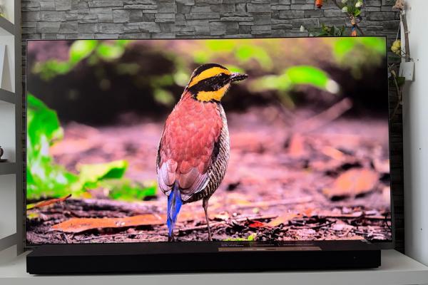 Samsung 65R95H Micro RGB TV - Fotografii