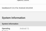 Screenshot_20220519-094000_Geekbench 5.jpg