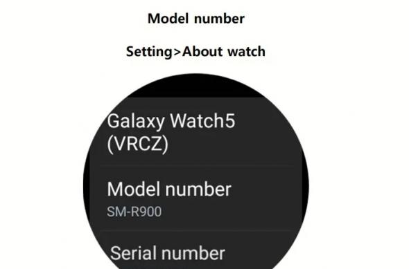 Samsung Galaxy Watch 5 - Certificare FCC: accesory-4.jpg