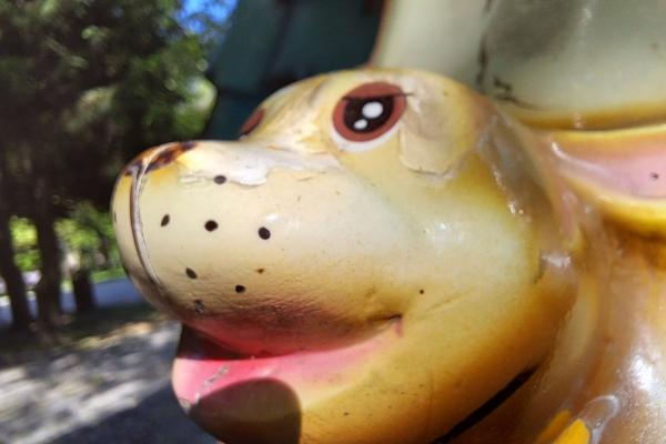 Samsung Galaxy A53 - Poze ziua