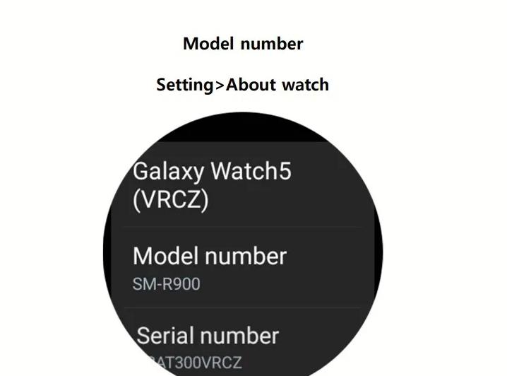 Samsung Galaxy Watch 5 - Certificare FCC: accesory-4.jpg