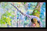 Allview-50iPlay6200-U-Foto_005.jpg