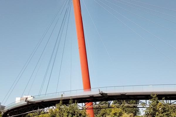 HMD Pulse Pro - Mostre Foto (zoom)