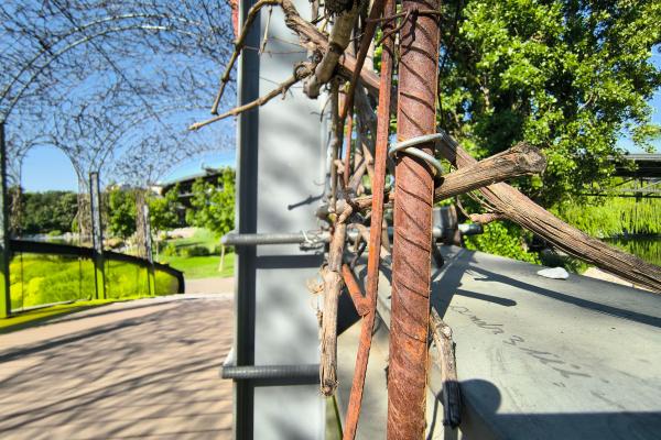 Motorola RAZR 50 - Mostre Foto