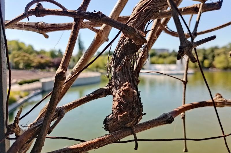 HMD Pulse Pro - Mostre Foto: HMD-Pulse-Pro-Closeup_009.jpg