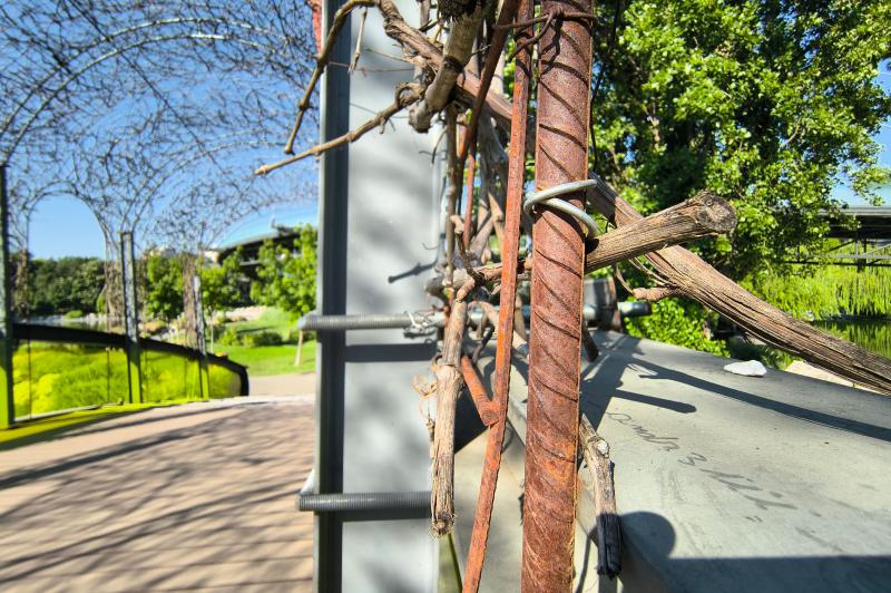 Motorola RAZR 50 - Mostre Foto: Motorola-RAZR-50-Closeup_004.jpg