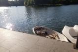 20180930_165726.jpg