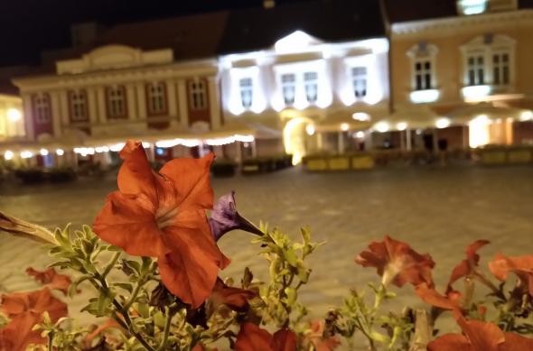 Nokia 8 Sirocco - Mostre Foto (seara): IMG_20180919_005621.jpg