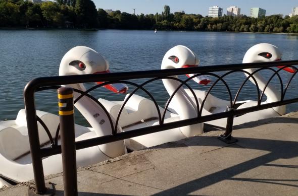 Samsung Galaxy Tab S4 - Mostre Foto: 20180930_165718.jpg