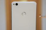 id553185_1.jpg