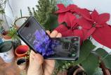 Samsung-Galaxy-Z-Flip_045.jpg