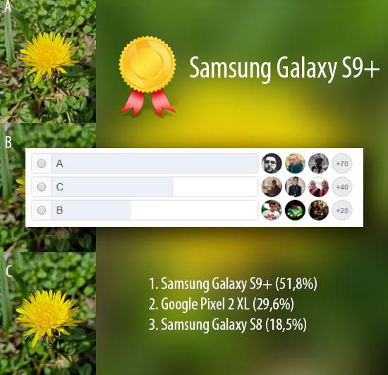 Rezultate Blind Test Foto: Samsung Galaxy S9+ vs. Galaxy S8 vs. Pixel 2 XL: close-up.jpg