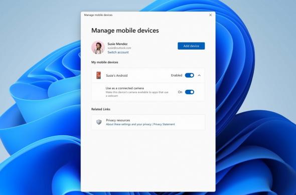 Opțiune cameră web - Windows 11: download (19).jpg