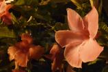 20180830_013554.jpg