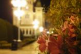 20180830_013715.jpg