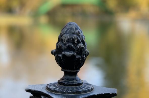 Fotografii de tip Bokeh făcute cu Apple iPhone XS Max: Photo 22-10-2018, 16 09 36.jpg