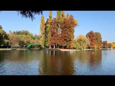 Apple iPhone XS Max, mostră video FHD 60 fps
