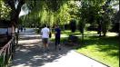 Huawei Nova Plus, mostră video HD, 120 FPS (slow motion) - Mobilissimo.ro