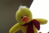 IMG_20161114_080931.jpg