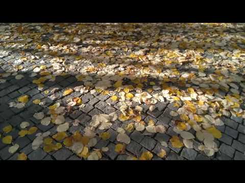 Vernee Apollo Lite, mostră video Full HD 30 FPS (dynamic range, autofocus) - Mobilissimo.ro