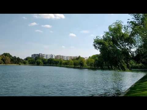 Motorola Moto G4, mostră video Full HD, 30 FPS - Mobilissimo.ro