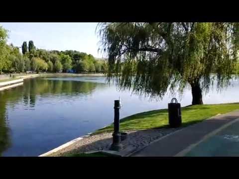 Motorola Moto G4, mostră video Full HD, 30 FPS - Mobilissimo.ro