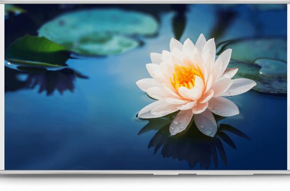 Gionee P7 - Fotografii oficiale: image_2.jpg
