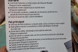 20241121_175902.jpg