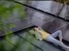 Casa Verde Fotovoltaice 2024: bugetul Regiunii Nord-Vest s-a terminat în doar două minute de la deschiderea înscrierilor
