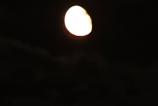IMG_20240921_220806.jpg