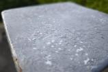 IMG_20240922_100123.jpg